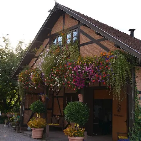 Der Schafhof Amorbach