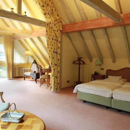 Hotel Der Schafhof 4*