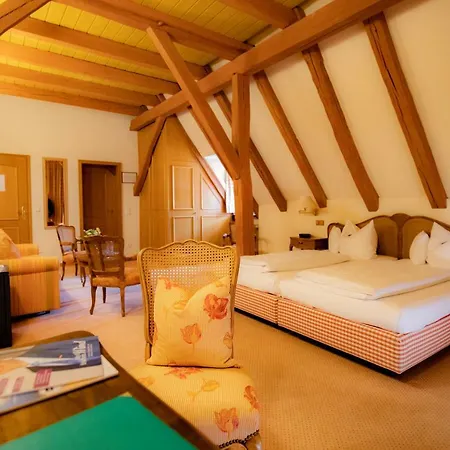 Hotel Der Schafhof 4*