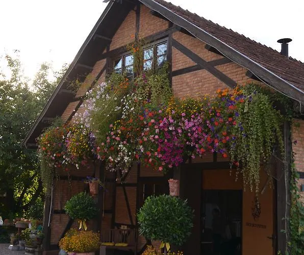 Der Schafhof Amorbach